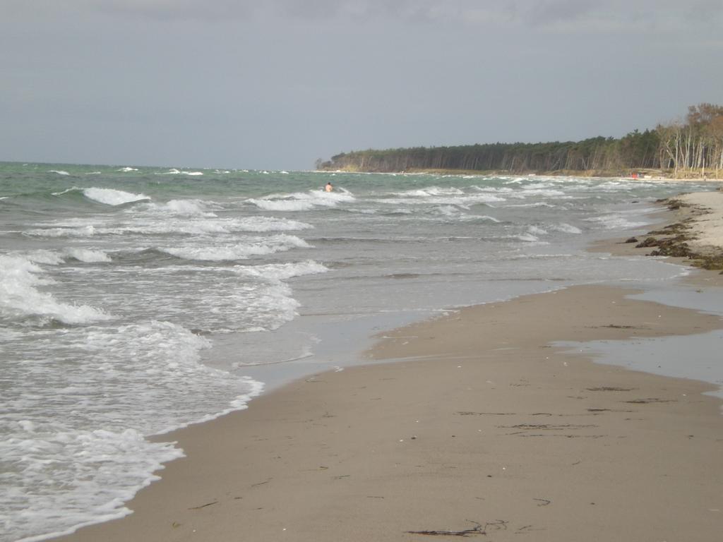 Morgensuenn Am Strand Ostseebad Kühlungsborn Esterno foto