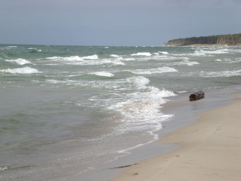 Morgensuenn Am Strand Ostseebad Kühlungsborn Esterno foto